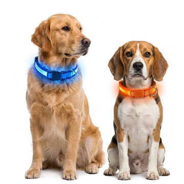 LED Light Up Dog Collar for Night Walking - Glow in the Dark Safety Collar